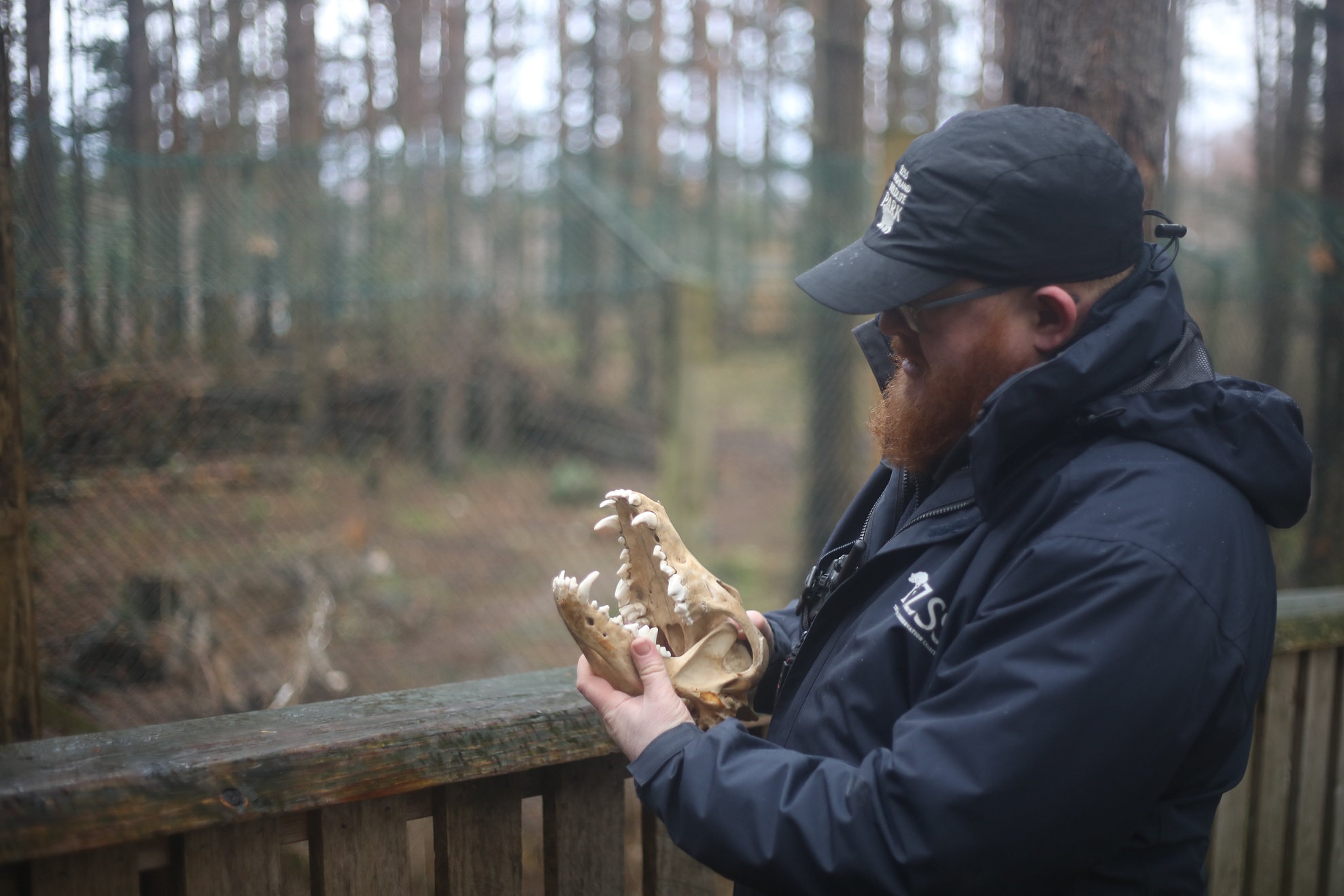 HWP ranger Jasper with prop skull IMAGE: Allie McGregor