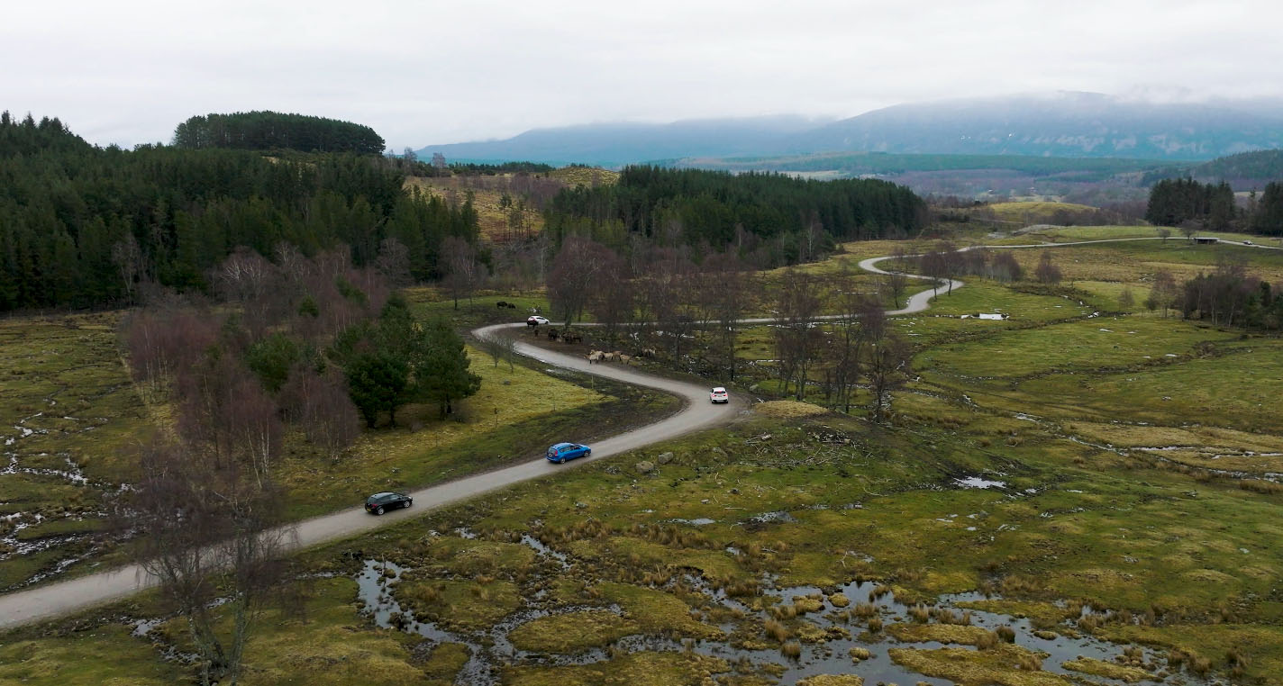 Cars driving through the reserve IMAGE: FoSho 2023